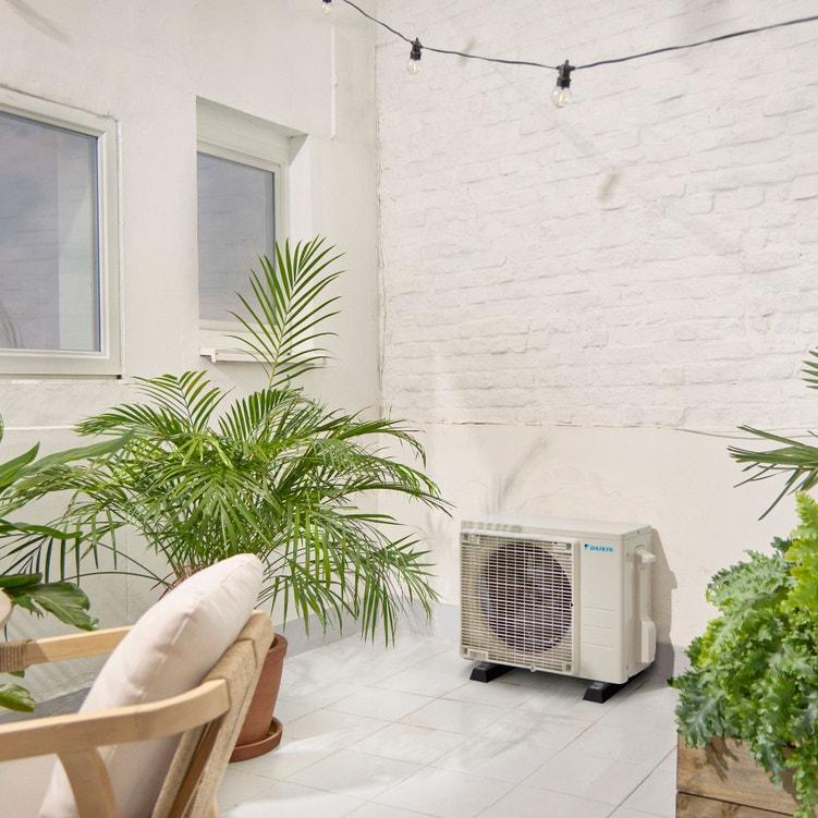 rxf-e-1-1-1b.jpg?preferwebp=true&width=751&quality=90